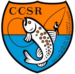 ccsr