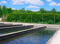 etang_pisciculture